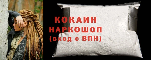 гашик Алексин