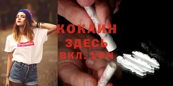 гашик Алексин