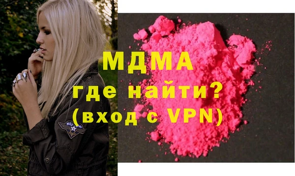 гашик Алексин