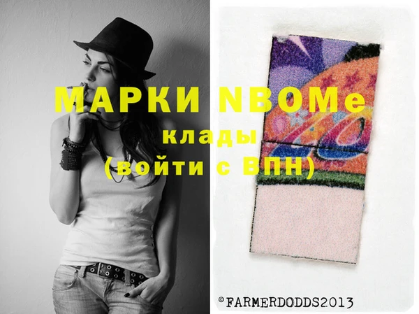 гашик Алексин