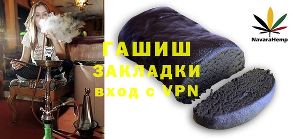 гашик Алексин