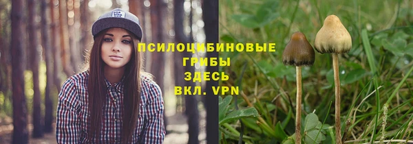 ГАЛЛЮЦИНОГЕННЫЕ ГРИБЫ Алексеевка